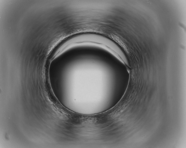 X0000096390676200802141456