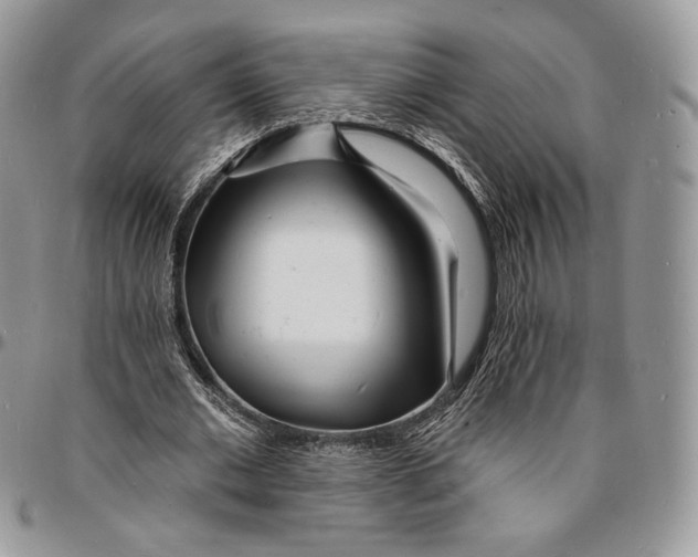 X0000096390677200802141455