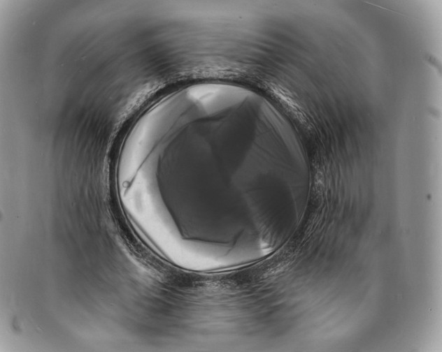 X0000096390678200802141455