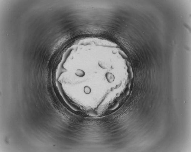 X0000096390679200802141455