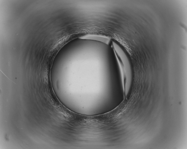 X0000096390681200802141455