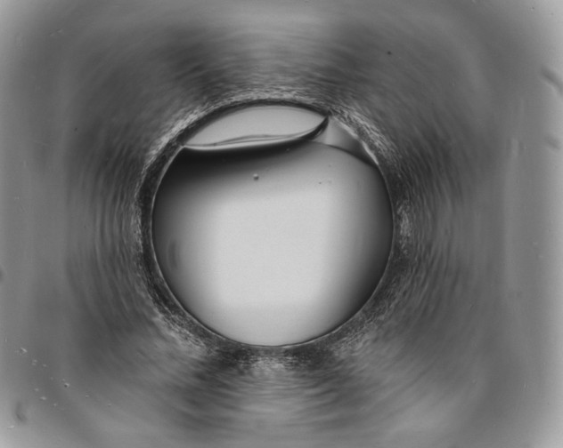 X0000096390684200802141455