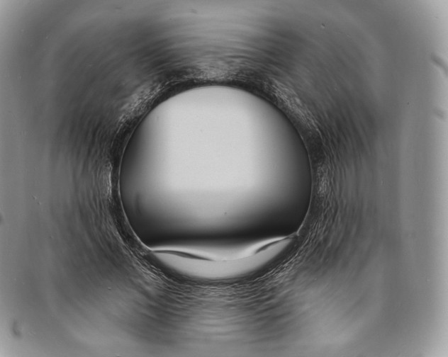 X0000096390685200802141455