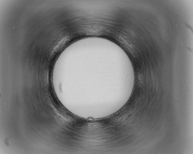 X0000096390686200802141455