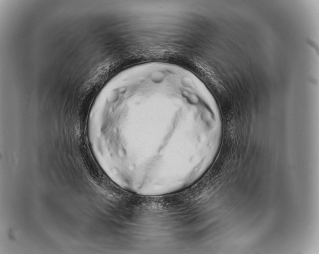 X0000096390687200802141455