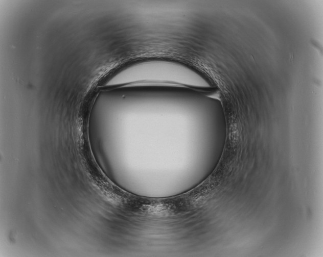 X0000096390688200802141455