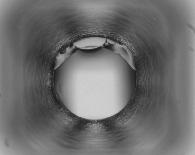 X0000096390689200802141455