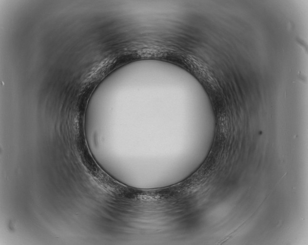 X0000096390690200802141455