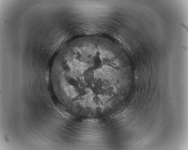 X0000096390691200802141455