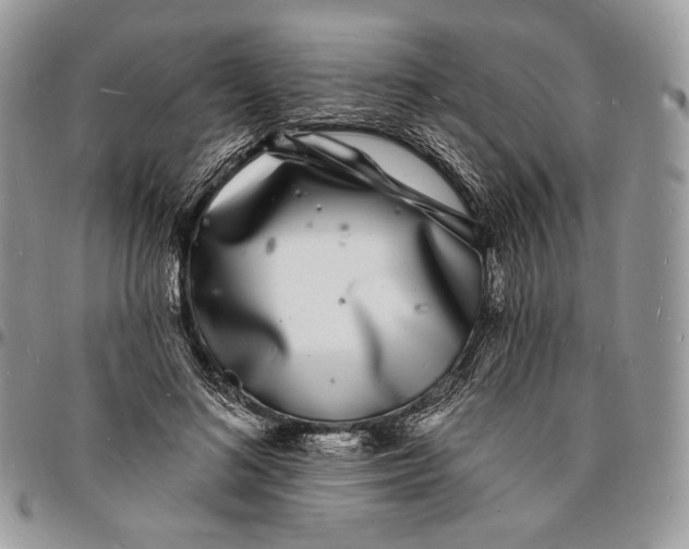 X0000096390692200802141455