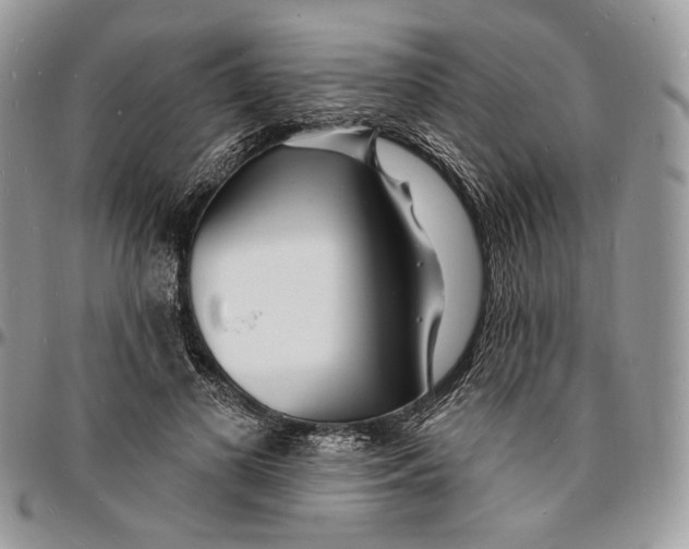 X0000096390693200802141455