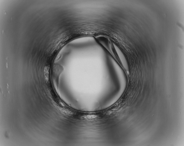 X0000096390695200802141455