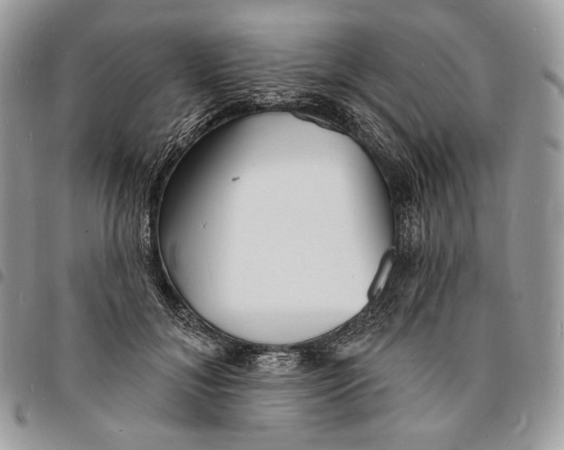 X0000096390700200802141455
