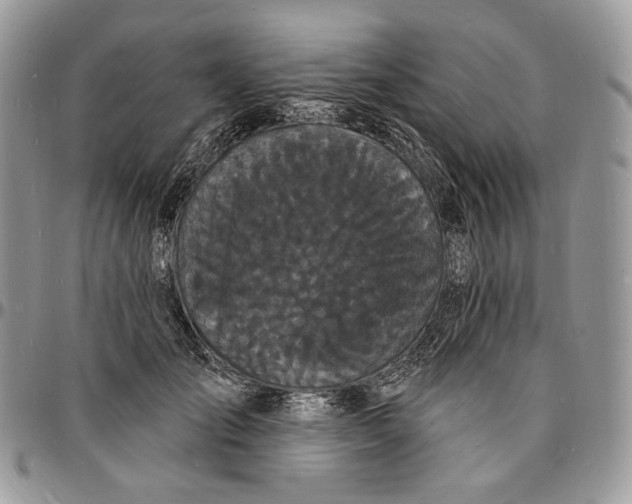 X0000096390701200802141455