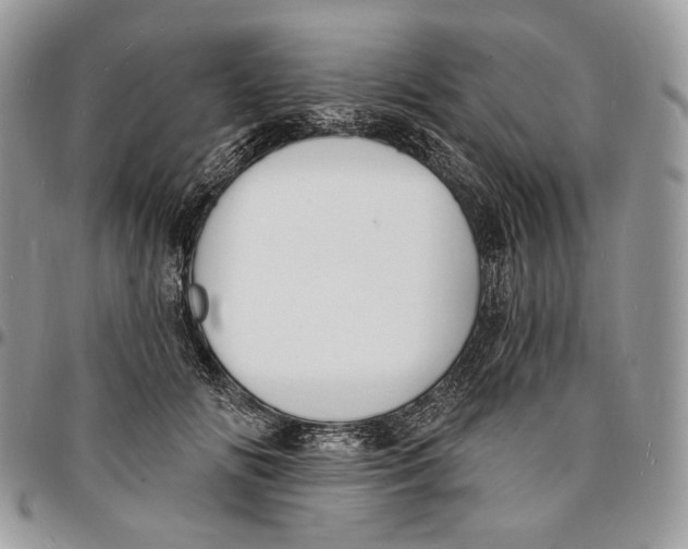 X0000096390702200802141455