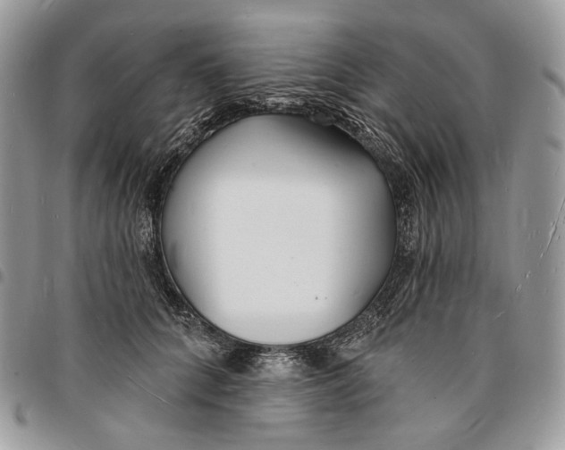 X0000096390704200802141455