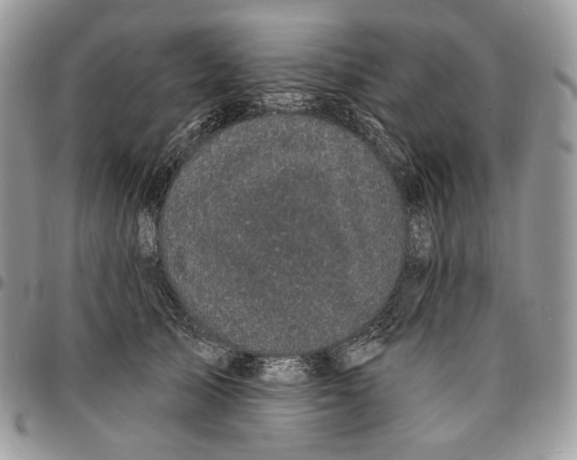 X0000096390705200802141455