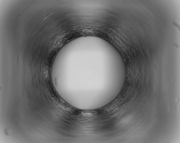 X0000096390706200802141455
