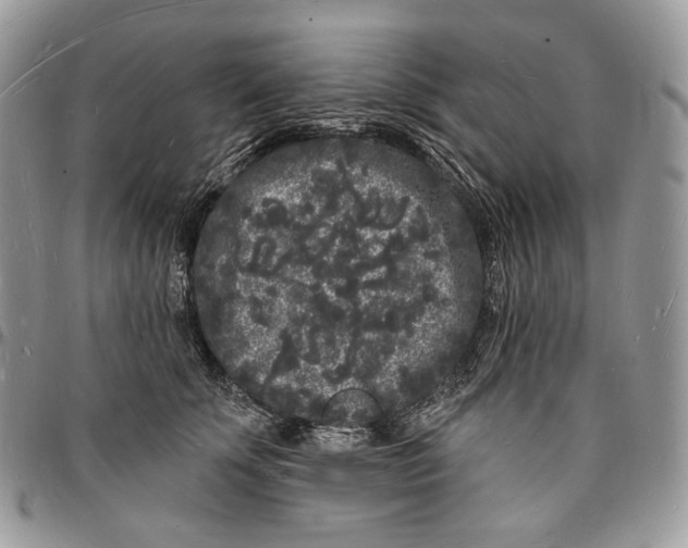 X0000096390707200802141455