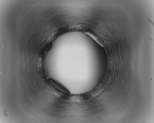 X0000096390708200802141455