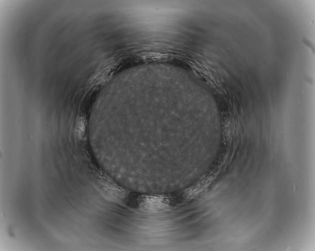 X0000096390709200802141455