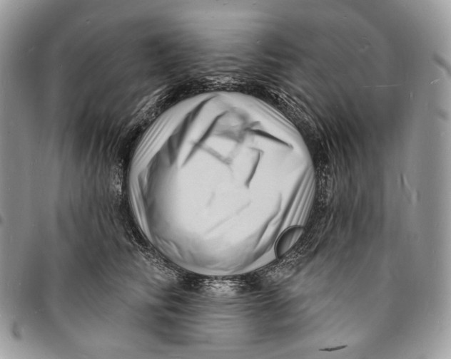 X0000096390710200802141455