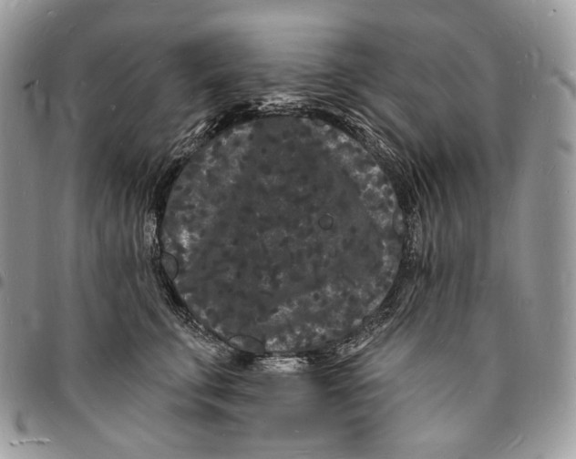 X0000096390711200802141455