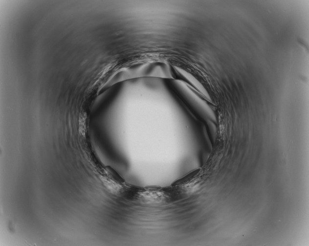 X0000096390712200802141455
