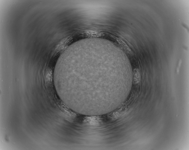 X0000096390713200802141455