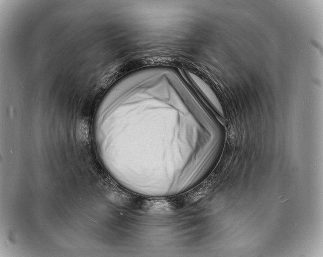 X0000096390715200802141455