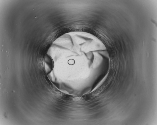 X0000096390718200802141455