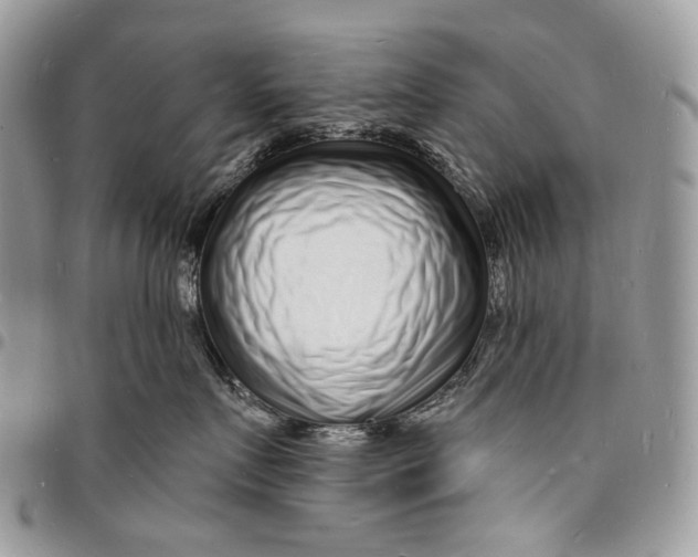 X0000096390719200802141455