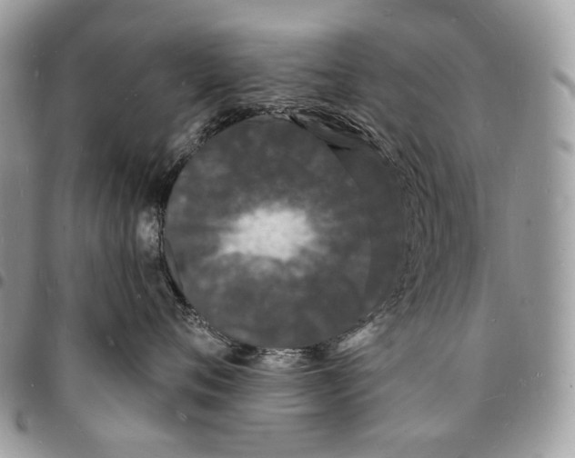 X0000096390720200802141455