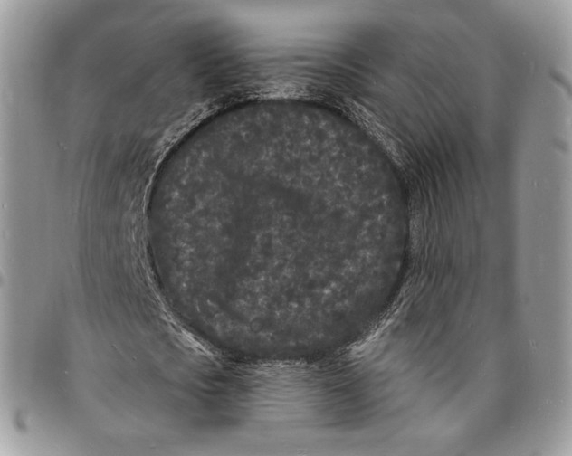 X0000096390721200802141454