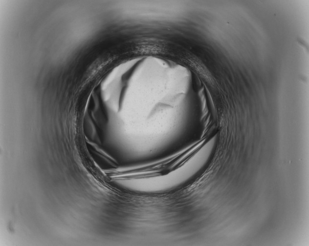 X0000096390722200802141454