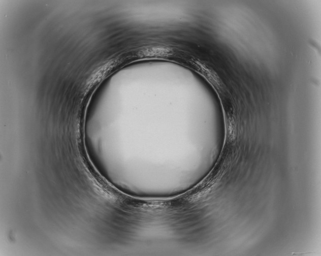 X0000096390725200802141454