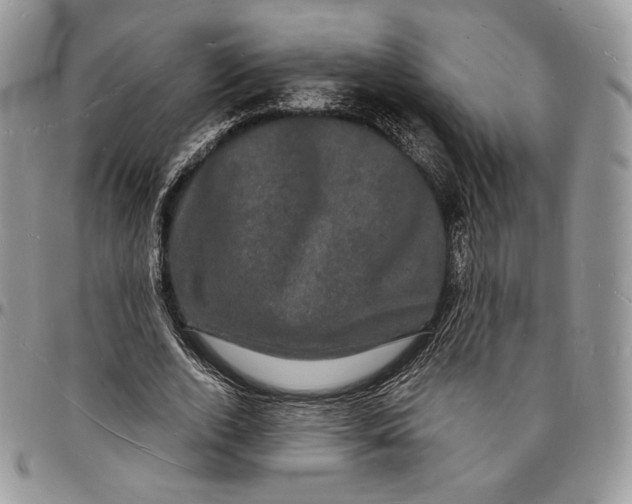 X0000096390728200802141454