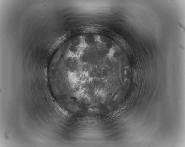 X0000096390729200802141454
