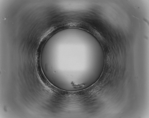 X0000096390730200802141454