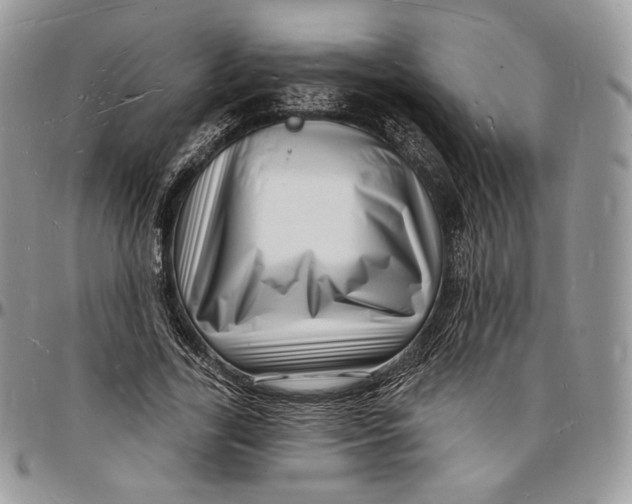 X0000096390731200802141454