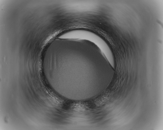 X0000096390732200802141454