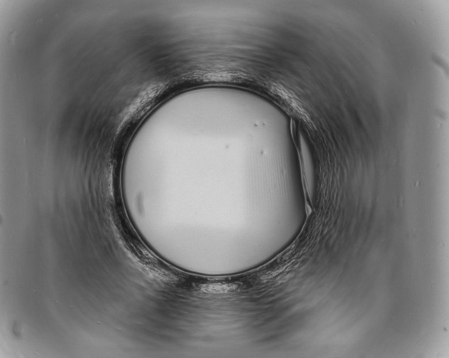X0000096390734200802141454