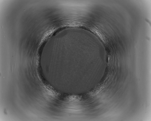 X0000096390736200802141454