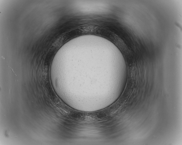 X0000096390737200802141454