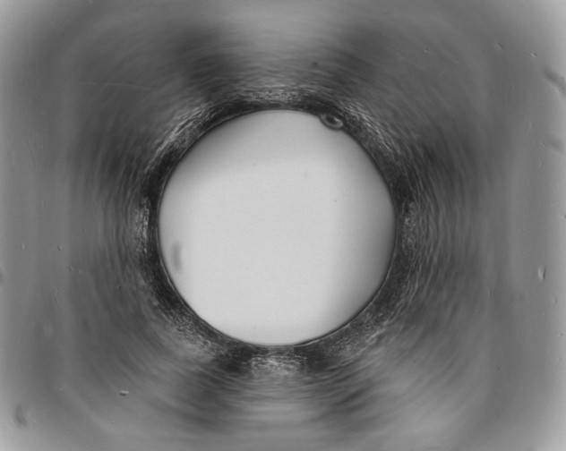 X0000096390739200802141455