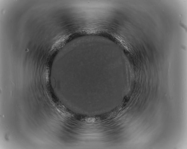 X0000096390740200802141455