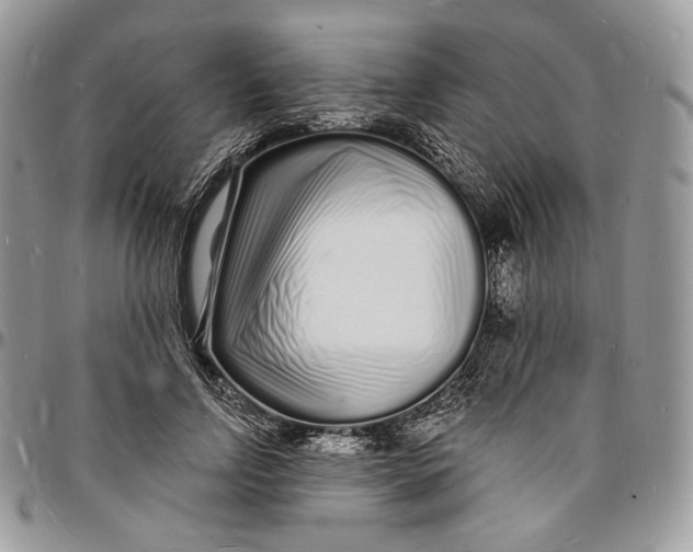 X0000096390742200802141455