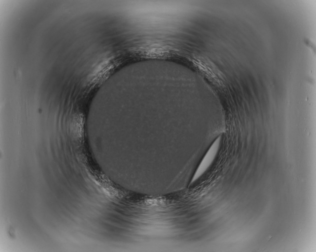 X0000096390744200802141455
