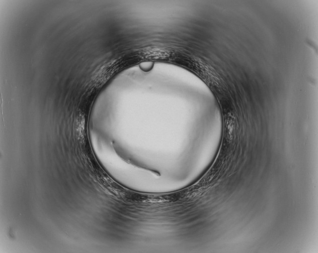 X0000096390745200802141455