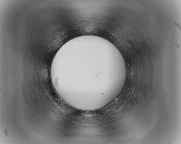 X0000096390746200802141455